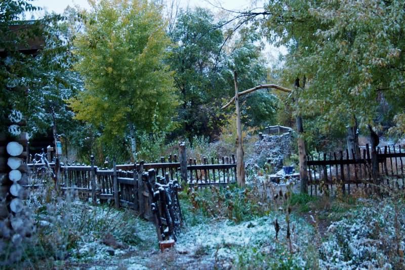 Taos Goji Farm & Eco-Lodge Retreat Arroyo Seco Eksteriør billede