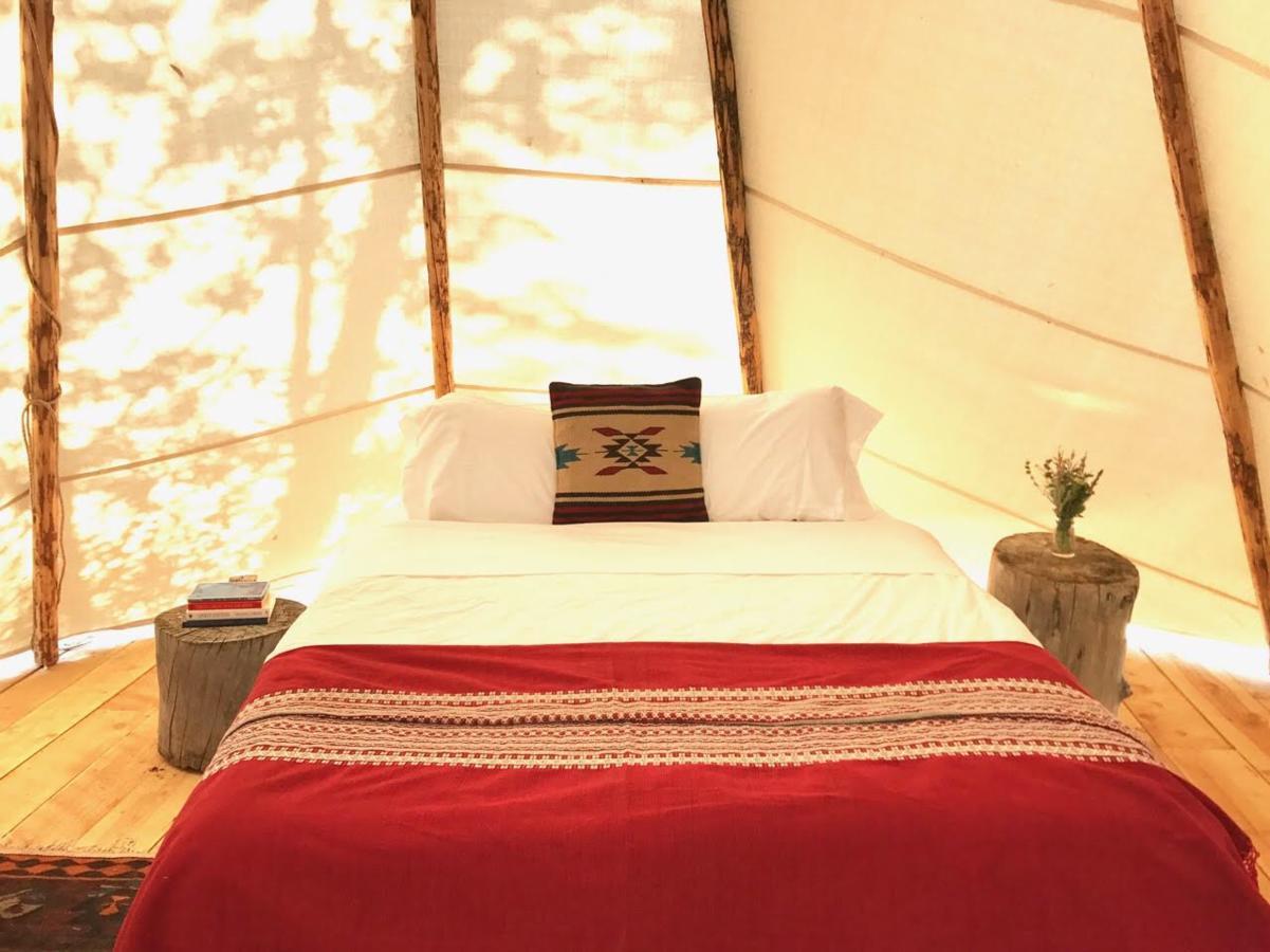 Taos Goji Farm & Eco-Lodge Retreat Arroyo Seco Eksteriør billede