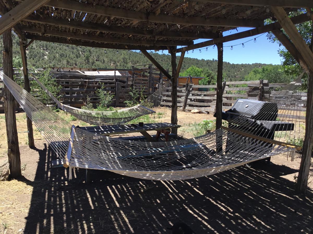 Taos Goji Farm & Eco-Lodge Retreat Arroyo Seco Eksteriør billede